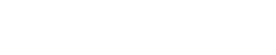 auto orginal
