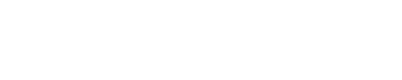 auto orginal